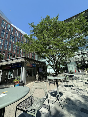 Vitamin Sea Brewing Brewery in Cambridge Massachusetts