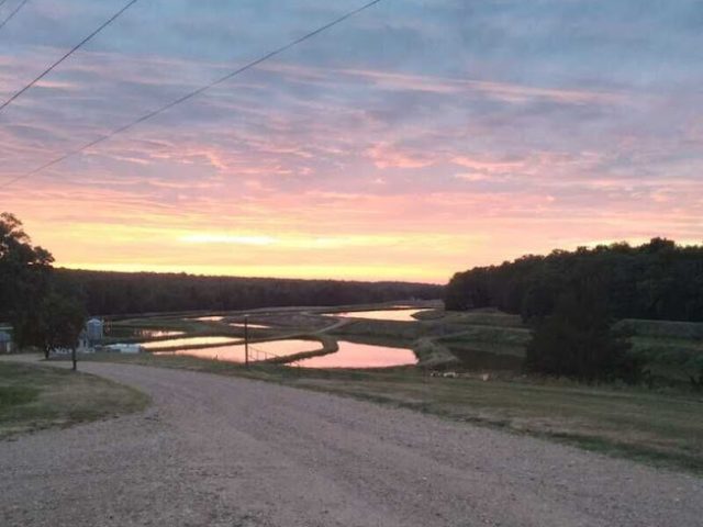 Welpman Springs Brewing Company Brewery in Stover Missouri