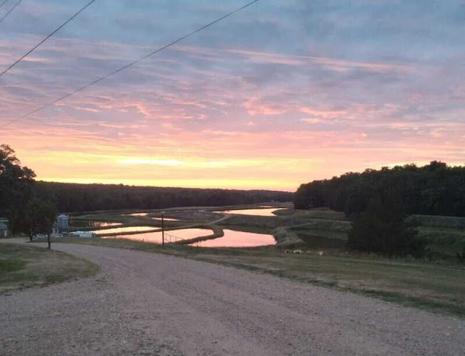 Welpman Springs Brewing Company Brewery in Stover Missouri