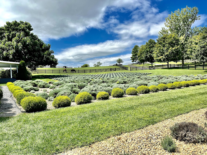 White Oak Lavender Brewery Brewery in Harrisonburg Virginia
