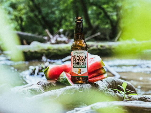 Wild Bay Brewery in Baltimore Maryland