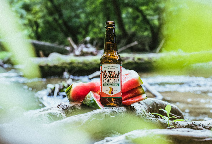 Wild Bay Brewery in Baltimore Maryland