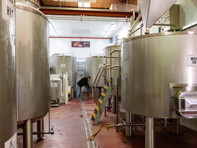 Wily Fox Brewery Brewery in