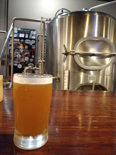 Wyandotte Beer Company Brewery in Wyandotte Michigan