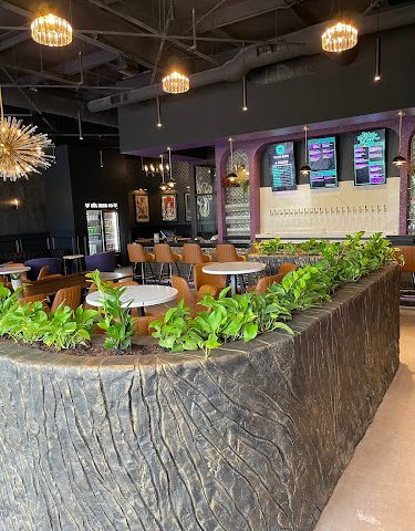 Xul Beer Company - Hardin Valley Brewery in Knoxville Tennessee