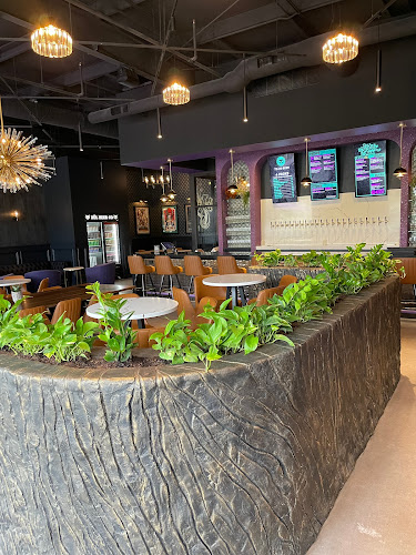 Xul Beer Company - Hardin Valley Brewery in Knoxville Tennessee