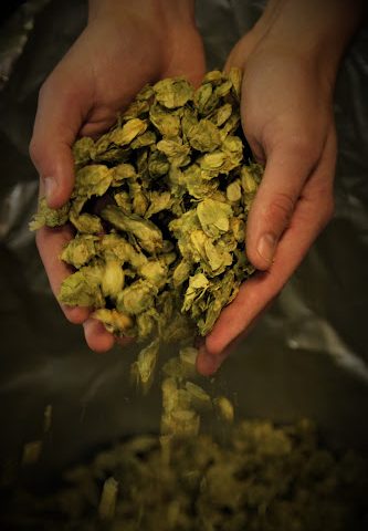 Zulu Alpha Brewing Ltd Brewery in Caldicot