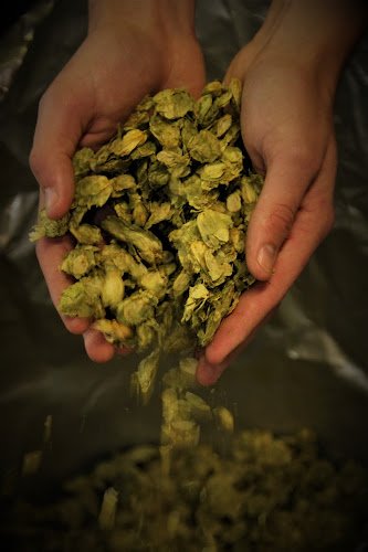 Zulu Alpha Brewing Ltd Brewery in Caldicot