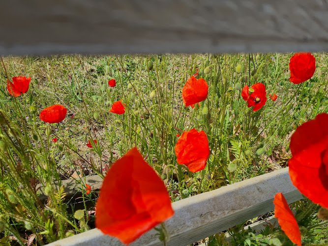 moogBrew Brewery in Maidenhead